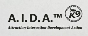 A.I.D.A™ Metodology Systems