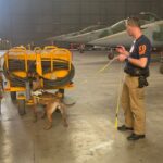 Cão de detecção operacional em busca de entorpecentes - K9 Detection Dog School Brasil