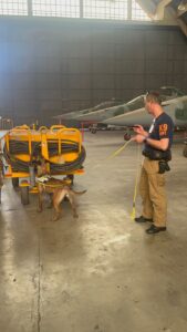 Cão de detecção operacional em busca de entorpecentes - K9 Detection Dog School Brasil